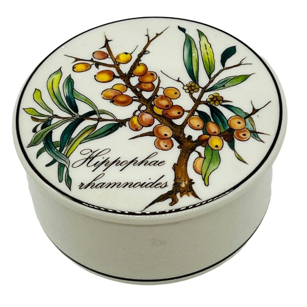 Villeroy Boch Botanica Trinket Box Hippophae‎ Rhamnoides Seaberry 2.5 inch